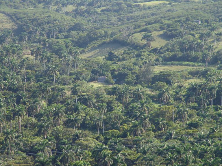 havana_g_02881.jpg