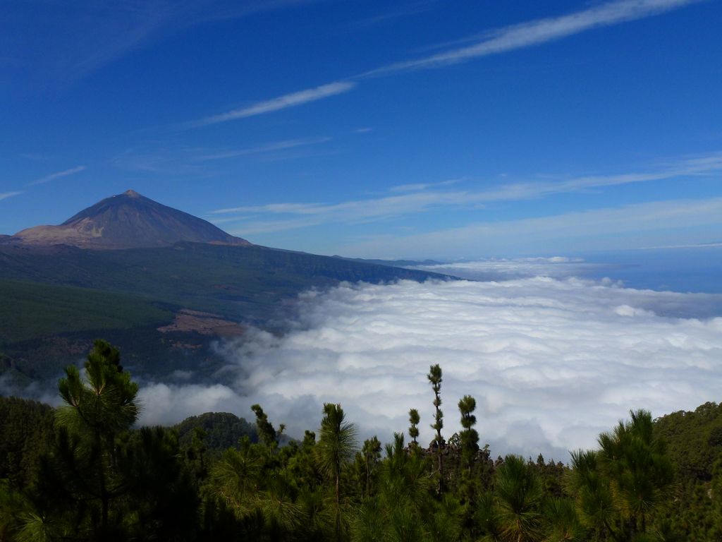 el_teide__(2).jpg